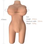 Armony Realistic Female Torso Model 6 - Image 5