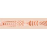 FLESHLIGHT GIRLS® – DILLION HARPER CRUSH VAGINA - Image 4