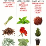 EYE OF LOVE - EOL PHR PARFUM DELUXE 50 ML - ROMANTIC – Bild 4