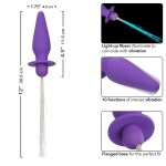 CALEXOTICS - SOUTHERN LIGHTS LIGHT UP ANAL PLUG 10 VIBRATIONS SILICONE PURPLE - Image 6